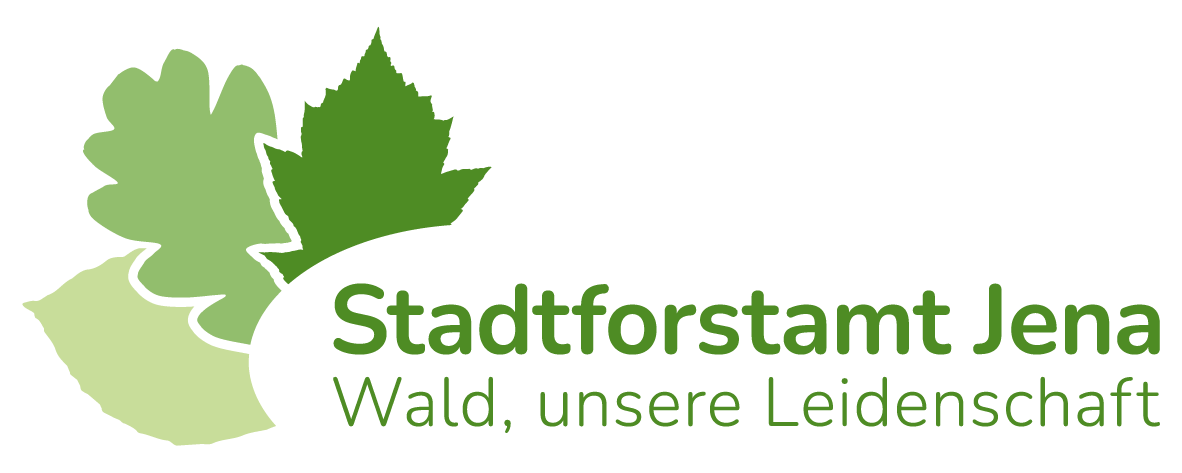 Stadtforst Jena