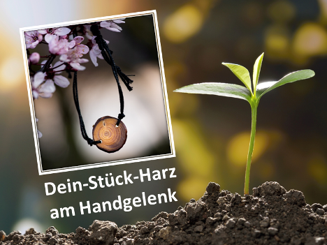 Heimat-Harz-Wald Paket Sachsen-Anhalt (Armband)