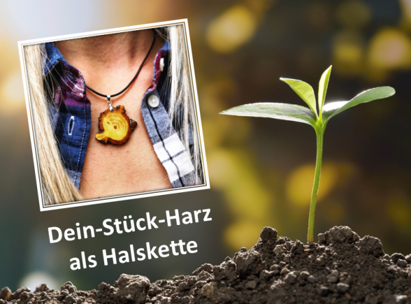 Heimat-Harz-Wald Paket Sachsen-Anhalt (Halskette)